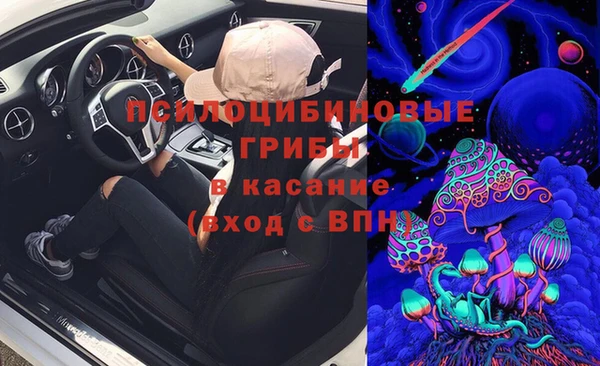таблы Сосновый Бор