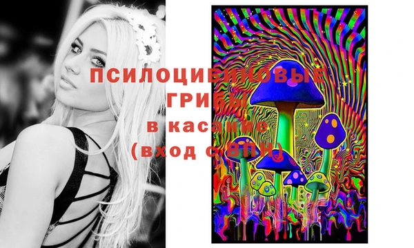 эйфоретик Краснослободск