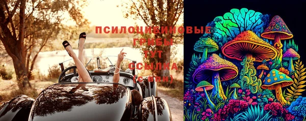 дживик Кострома