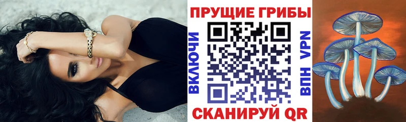 KRAKEN ONION  darknet телеграм  Псилоцибиновые грибы прущие грибы  Сычёвка 