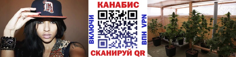 Шишки марихуана AK-47 KRAKEN tor мориарти официальный сайт Сычёвка